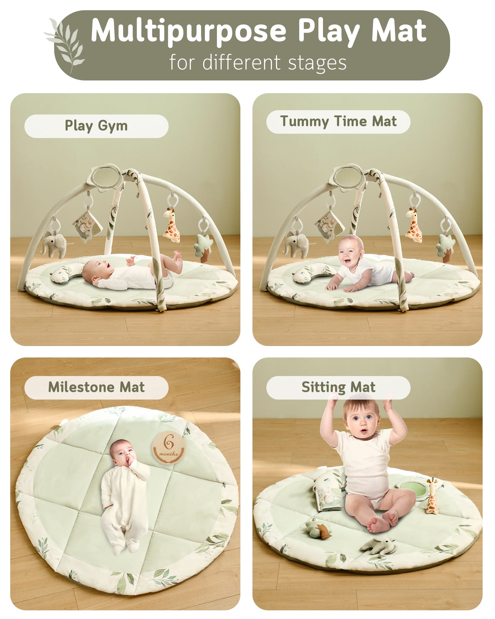 Play Gym