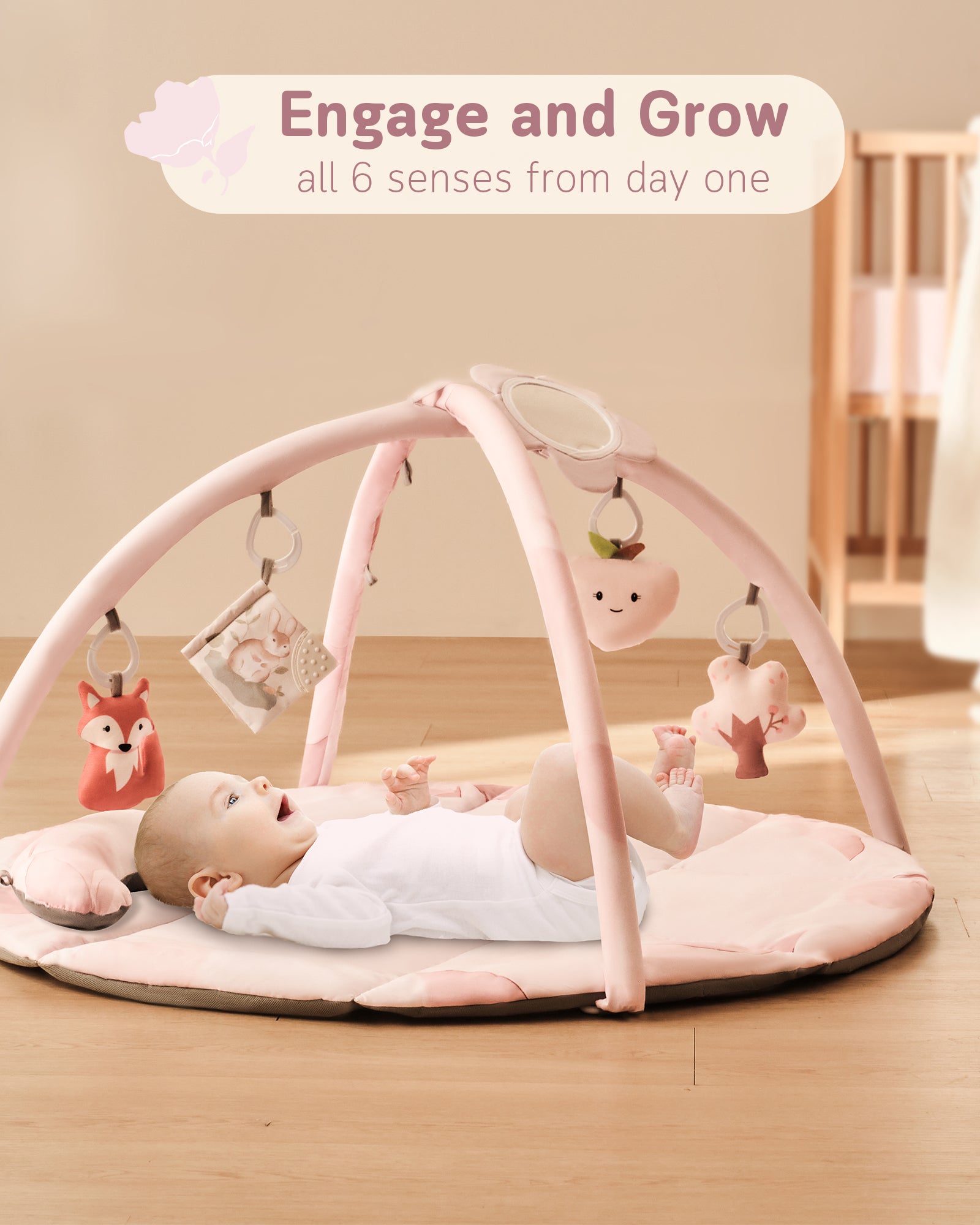 Play Gym