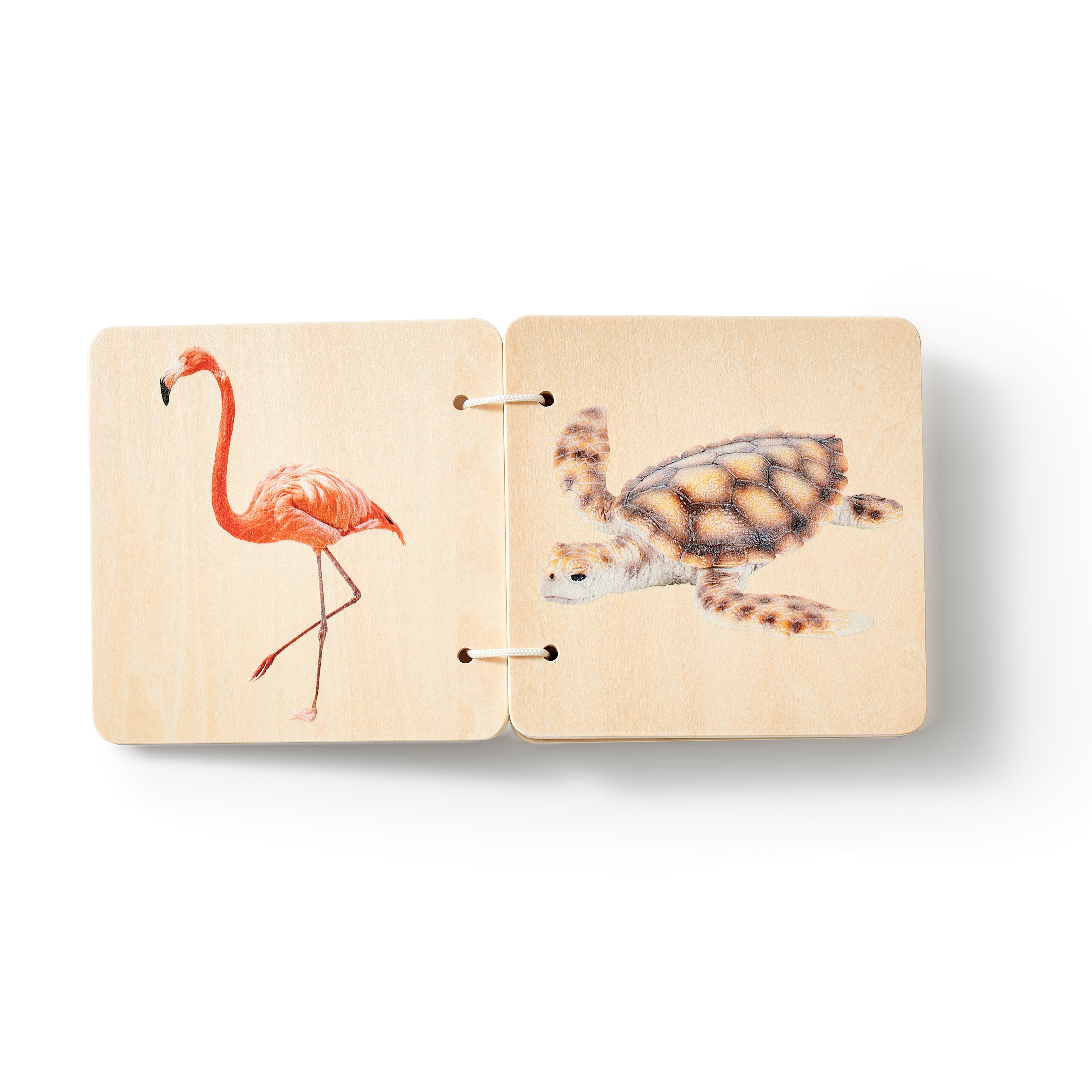 Go Grow Box Months 0-6