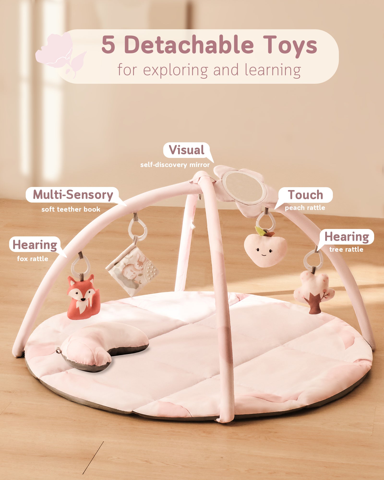 Baby Play Gym